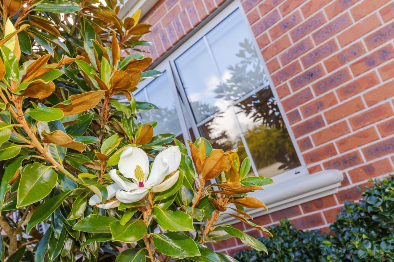 Sweet Magnolia 1 Or 2 Bedroom Suite St Kilda Cambridge With Complimentary Continental Breakfast Exterior photo